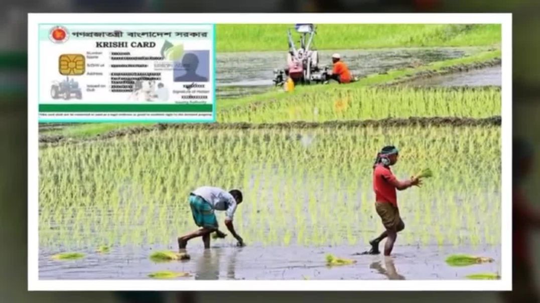 ⁣কৃষক কার্ড"-এর মাধ্যমে কৃষিতে স্বচ্ছতা ও দালালমুক্ত সুবিধা নিশ্চিত হবে: তারেক রহমান