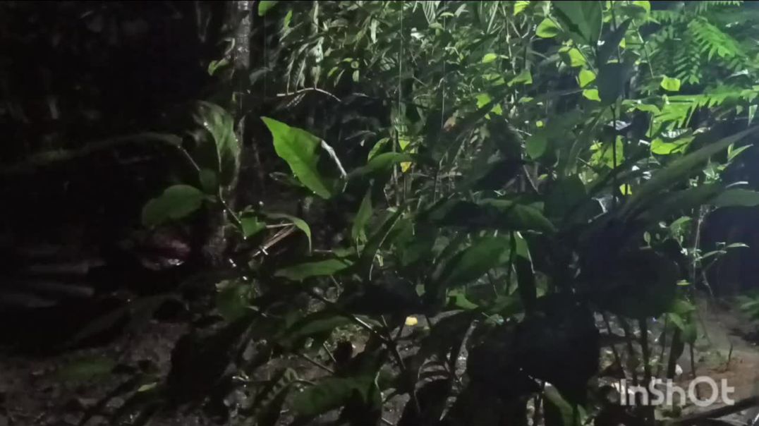 ⁣ঝালকাঠিতে টানা বৃষ্টিতে চরম ভোগান্তি, রাস্তাঘাট জনশূন্য, আয়-রোজগারে ধস খেটে খাওয়া মানুষের