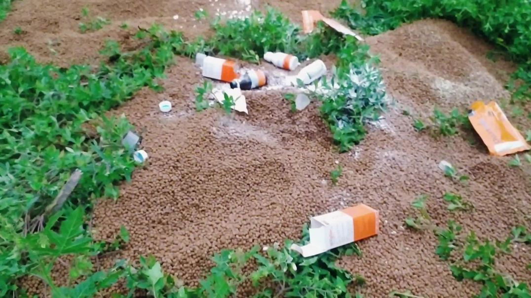 ⁣পূর্বধলা উপজেলার ফাজিলপুর বাজারে মেয়াদোত্তীর্ণ মাছের খাবারের বস্তা পাওয়ার অভিযোগ।