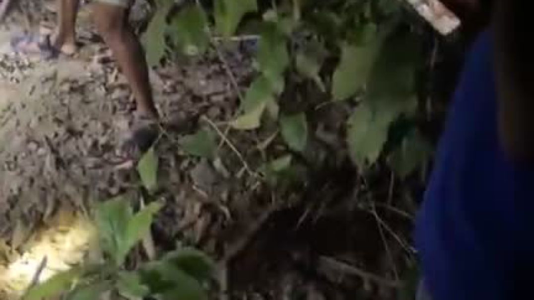 শরিয়তপুর এ বস্তুা বন্দি লাশ উদ্ধার